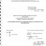 Управление проектом развития бренда на примере ООО "Вайлдберриз"