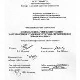 Социально-педагогические условия сопровождения старших подростков с проявлениями перфекционизма