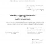 Экономическая эффективность коммерческой деятельности оптово-розничного предприятия на рынке электротехники