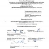 Применение электронных образовательных ресурсов в обучении школьников с интеллектуальными нарушениями