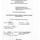 Адаптация молодежи к новым условиям учебной деятельности