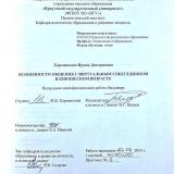 Особенности общения с виртуальным собеседником в юношеском возрасте
