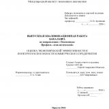 Оценка экономической эффективности и конкурентоспособности коммерческого предприятия