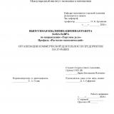 Организация коммерческой деятельности предприятия на IT-рынке