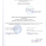Профилактика социального сиротства в аспекте региональной семейной политики (на примере Иркутской области)