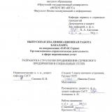 Разработка стратегии продвижения сервисного предприятия в социальных сетях