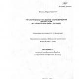 Стратегическое управление коммерческой организации (на примере ООО "Байкал-Строй")