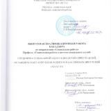 Специфика социальной адаптации детей-сирот и детей, оставшихся без попечения родителей (на примере Иркутской области)