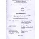 Работа воспитателя над совершенствованием сюжетной игры дошкольников с нарушениями интеллектуального развития