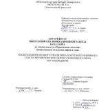 Технология временного хранилища попутного нефтяного газа на Верхнечонском нефтегазоконденсатном месторождении
