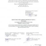 Практики побратимских связей городов Сибирского и Дальневосточного федеральных округов в первых десятилетиях XXI в.