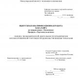 Оценка экономической деятельности предприятия оптово-розничной торговли продовольственными товарами