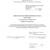 Организация коммерческой деятельности оптово-розничного предприятия на рынке автомобильных шин и сопутствующих товаров и услуг