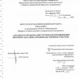 Анализ и разработка инструментов продвижения интернет-магазина продовольственных товаров