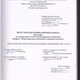 Wikileaks как актор международных отношений (2006-2024 гг.)