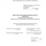 Оценка направления развития отрасли черной металлургии в России