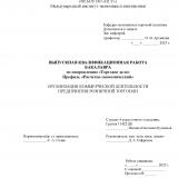 Организация коммерческой деятельности предприятия розничной торговли