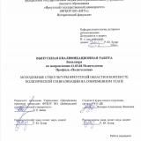 Молодежные субкультуры Иркутской области в контексте политической социализации на современном этапе