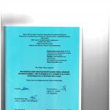 Формирование иноязычной коммуникативной компетенции у обучающихся старших классов с помощью платформы TED TALKS