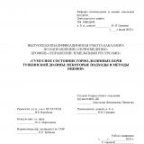 Гумусное состояние горно-долинных почв Тункинской долины: некоторые подходы и методы оценки