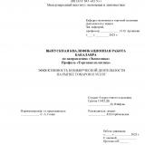 Эффективность коммерческой деятельности на рынке товаров и услуг