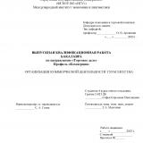 Организация коммерческой деятельности турагентства