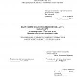 Организация коммерческой деятельности в сфере электронного оборудования