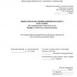Организация коммерческой деятельности на региональном рынке