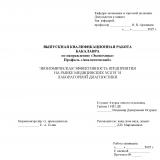 Экономическая эффективность предприятия на рынке медицинских услуг и лабораторной диагностики