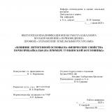 Влияние литогенной основы на физические свойства почв Прибайкалья (на примере Тункинской котловины)