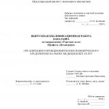 Организация и функционирование коммерческого предприятия на рынке медицинских услуг
