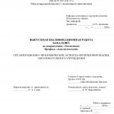 Организационно-экономические аспекты функционирования образовательного учреждения