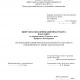 Организация коммерческой деятельности торгового предприятия на рынке автозапчастей