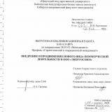 Внедрение и продвижение нового вида коммерческой деятельности в ООО "Энергосоюз"