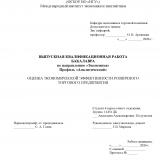 Оценка экономической эффективности розничного торгового предприятия