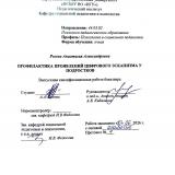 Профилактика проявлений цифрового эскапизма у подростков