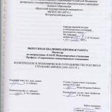 Политическое и экономическое сотрудничество России со странами Африки (2000-2023 гг.)