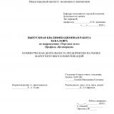 Коммерческая деятельность предприятия на рынке маркетинговых коммуникаций