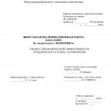 Оценка экономической эффективности предприятия на рынке парфюмерии