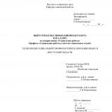 Технология социальной профилактики наркозависимых в Иркутской области