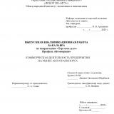 Коммерческая деятельность предприятия на рынке автотранспорта