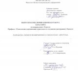 Разработка элементов фирменного стиля отеля г. Иркутска