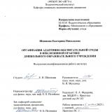 Организация адаптивно-воспитательной среды в инклюзивной практике дошкольного образовательного учреждения