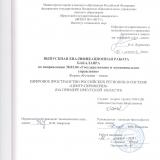 Цифровое пространство российских регионов в системе "центр-периферия" (на примере Иркутской области)