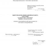 Оценка экономической деятельности торгового предприятия 