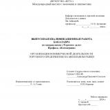 Организация коммерческой деятельности торгового предприятия на мебельном рынке