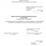 Организационно-экономическая эффективность предприятия на рынке автомобилей с искусственным интеллектом