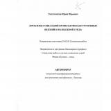 Проблемы социальной профилактики деструктивных явлений в молодежной среде