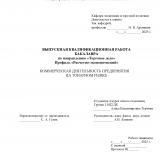 Коммерческая деятельность предприятия на товарном рынке 