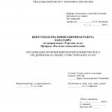 Организация функционирования коммерческого предприятия на рынке туристических услуг